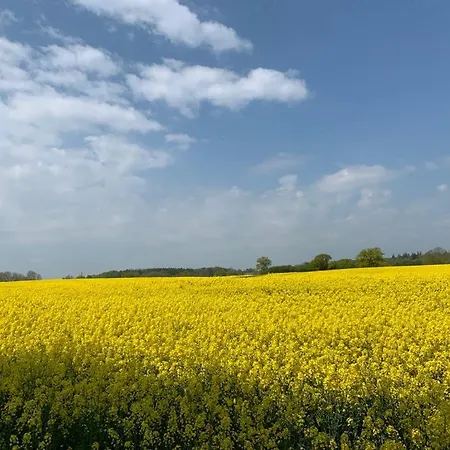 Daire Gutshof Rothensande