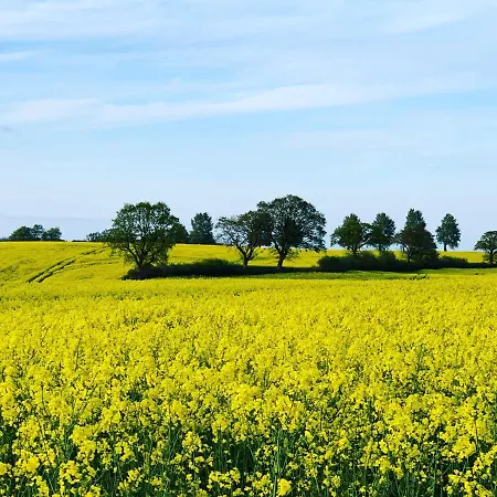 Appartement Gutshof Rothensande Waabs