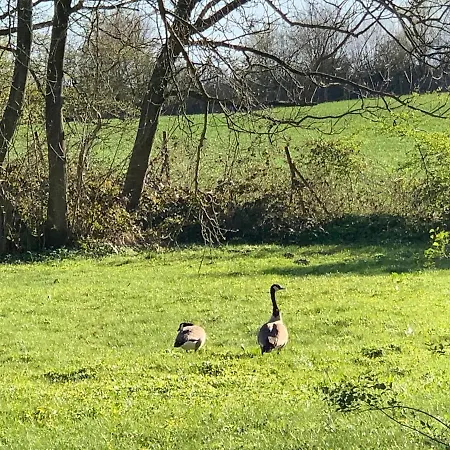 Gutshof Rothensande * Waabs