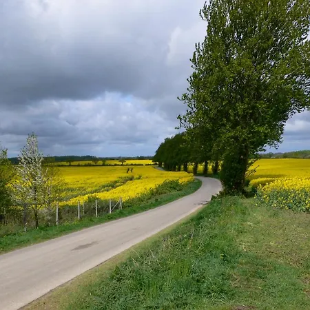 Daire Gutshof Rothensande