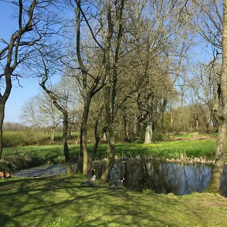 Gutshof Rothensande شقة *